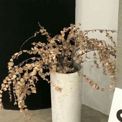 永城福瑞交流群